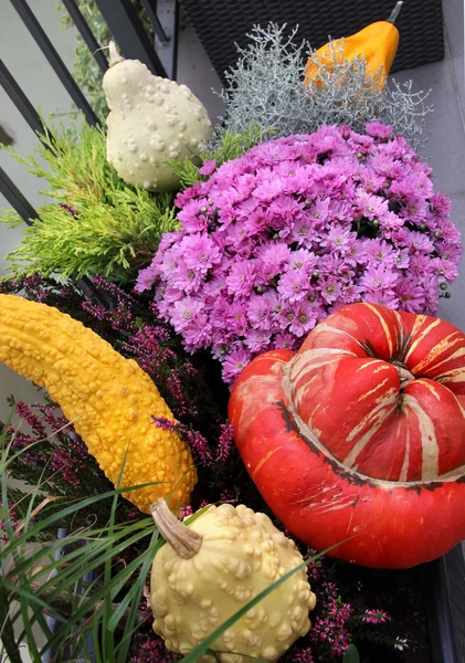 Väl inredda terrass med en massa blommor och grönsaker — Stockfoto