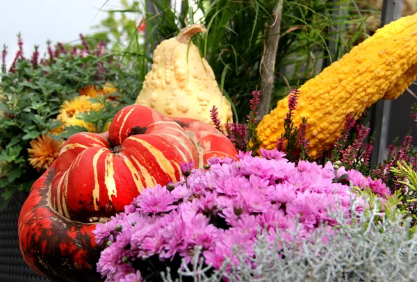 Terraço bem decorado com muitas flores e legumes — Fotografia de Stock