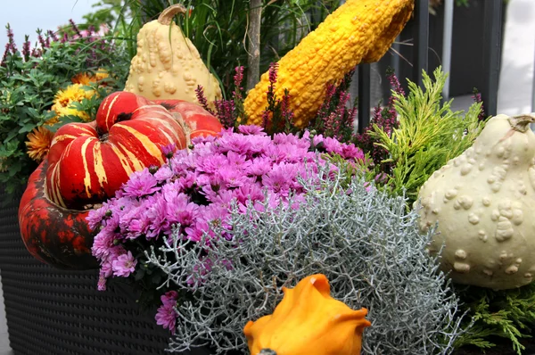 Terraza bien decorada con muchas flores y verduras — Foto de Stock