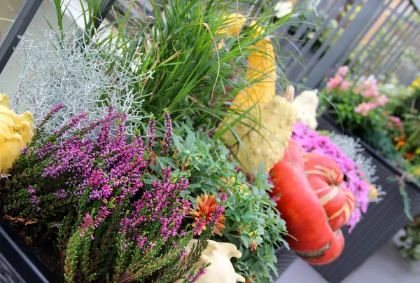 Terrasse bien décorée avec beaucoup de fleurs et de légumes — Photo