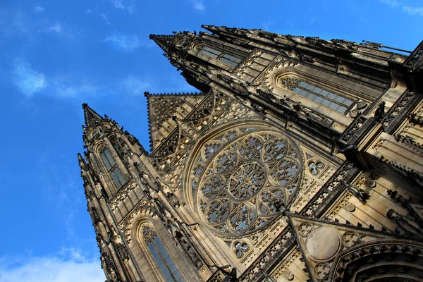 Prague castle saint vitus Katedrali — Stok fotoğraf