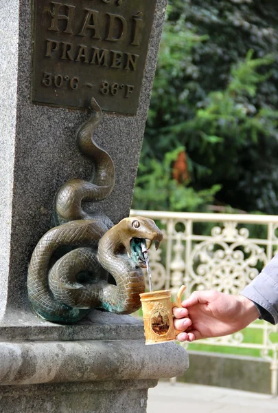 Karlovy Vary acqua minerale — Foto Stock