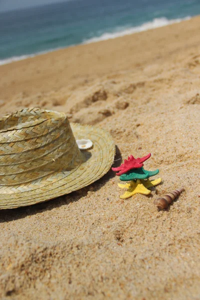 สตาร์ฟิชตลกบนชายหาด — ภาพถ่ายสต็อก