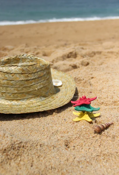 Engraçado estrelas-do-mar na praia — Fotografia de Stock