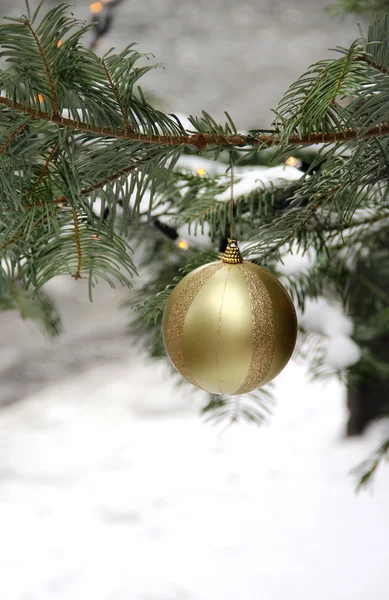 Pouliční vánoční strom — Stock fotografie