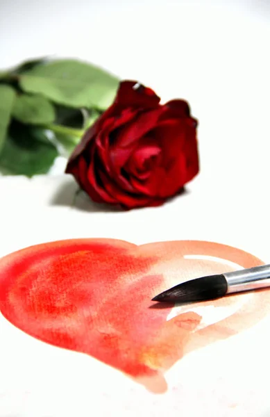 绘的情人节心和美丽的玫瑰 — 图库照片