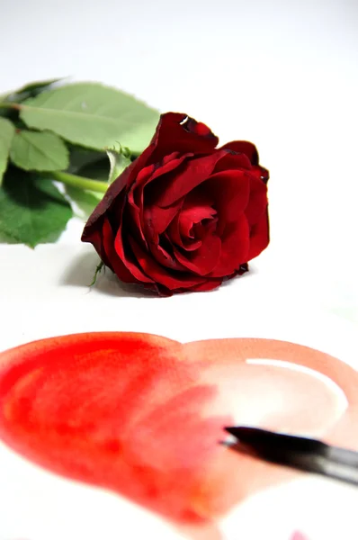 Corazón de San Valentín pintado y hermosa rosa —  Fotos de Stock