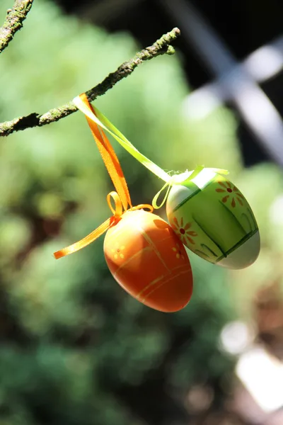 Oeufs de Pâques accrochés à l'arbre — Photo