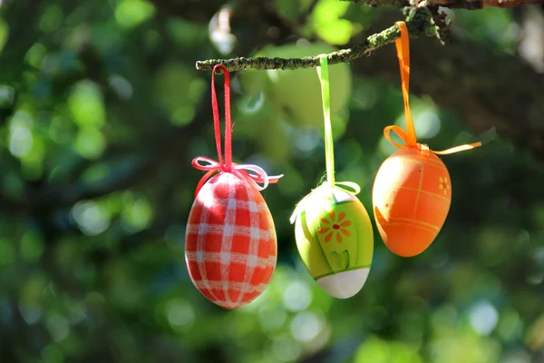 Ovos de Páscoa pendurados na árvore — Fotografia de Stock