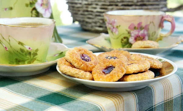 Güzel eski antika çay servisi secession tarzı ile biscui — Stok fotoğraf