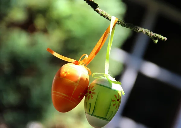 Velikonoční vajíčka visící na stromě — Stock fotografie