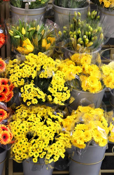 Mistura de flores bonitas frescas vivas — Fotografia de Stock