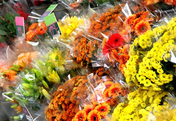 Mezcla de vívidas flores frescas hermosas — Foto de Stock