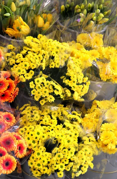 Mezcla de vívidas flores frescas hermosas — Foto de Stock