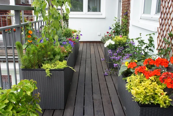 Moderna hermosa terraza con un montón de flores — Foto de Stock