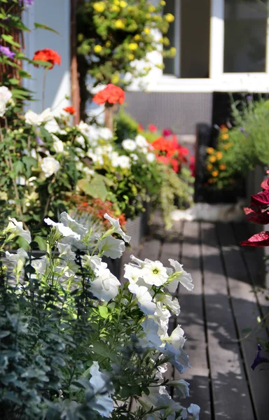 Belle terrasse moderne avec beaucoup de fleurs — Photo