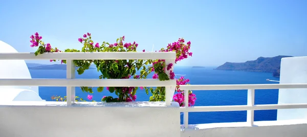 Santorini terrass med blommor — Stockfoto