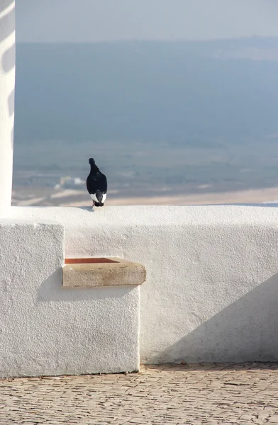 Santorini in dettaglio — Foto Stock