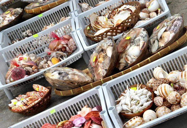 Seashell markt — Stockfoto