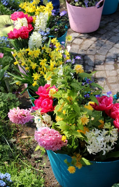 Sonnige Terrasse mit vielen Blumen — Stockfoto