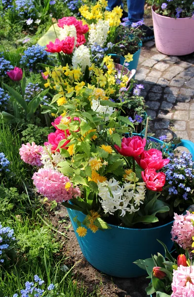 Terraço ensolarado com muitas flores — Fotografia de Stock