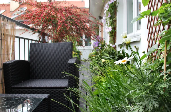 Moderne terras met een heleboel bloemen — Stockfoto