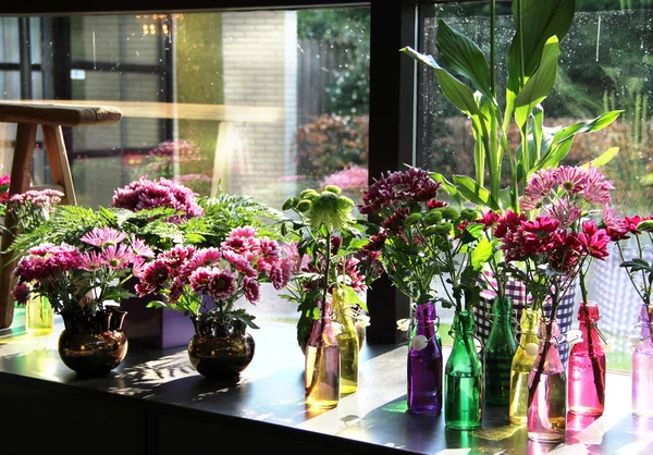 Flores en las botellas vívidas — Foto de Stock