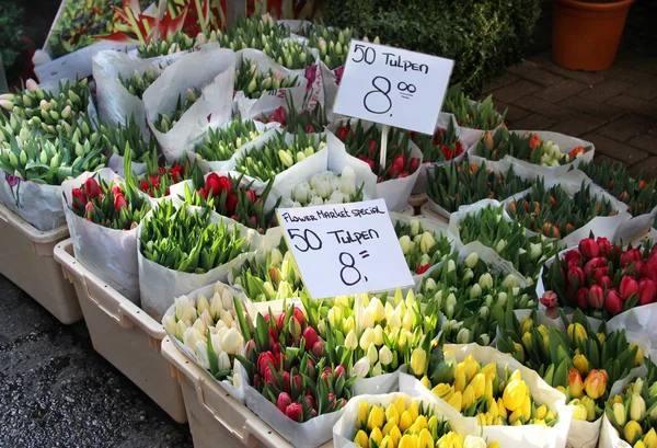 ตลาดดอกไม้ในอัมสเตอร์ดัม — ภาพถ่ายสต็อก