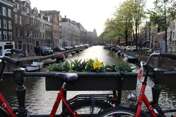 Amsterdam bicycle — Stock Photo, Image