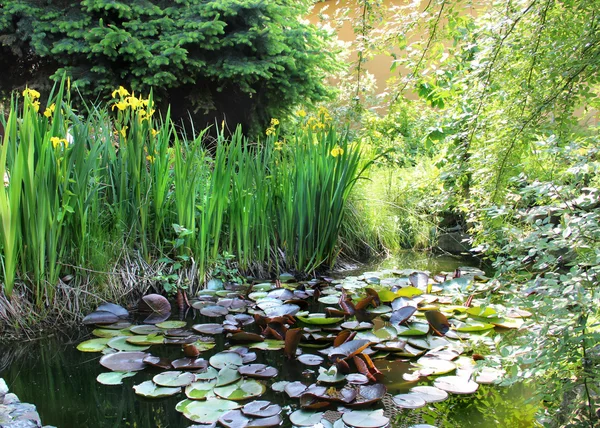 房子花园与小池塘 — 图库照片