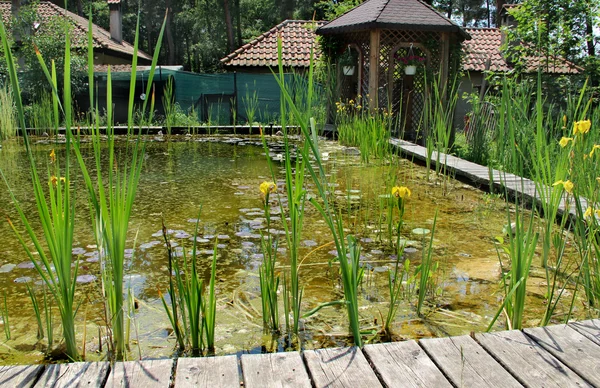 Casa jardim com pequena lagoa — Fotografia de Stock