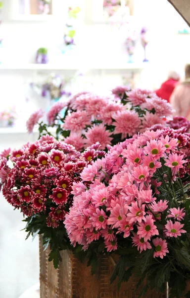 Gran mezcla de increíbles flores multicolores — Foto de Stock