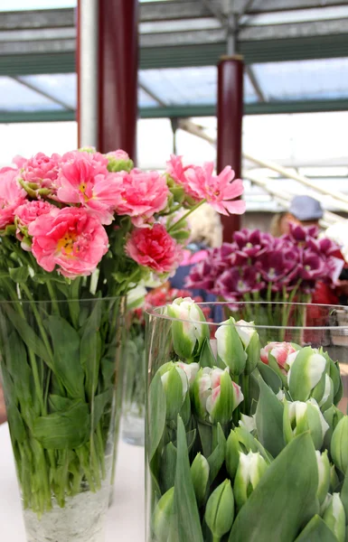 Тюльпаны и вазы — стоковое фото
