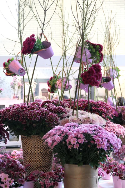 Velký mix různobarevné květiny úžasné — Stock fotografie