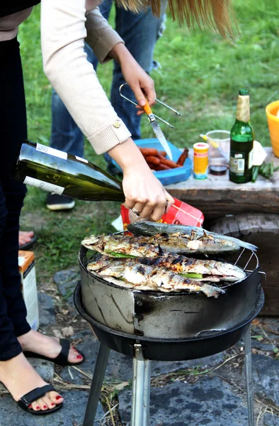 Grill a kertben — Stock Fotó