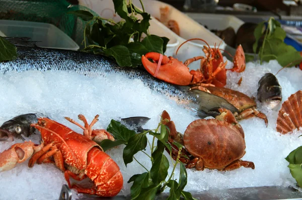 Big mix of seafood products — Stock Photo, Image