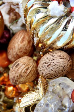 schattig Bordercollie pups spelen