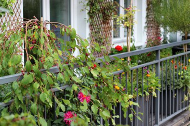 bir sürü çiçek ile modern gayrimenkul