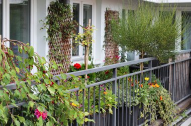 bir sürü çiçek ile modern gayrimenkul