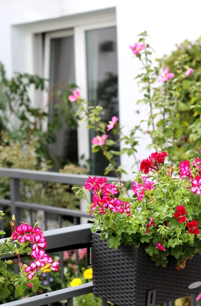 Moderna fastigheter med en massa blommor — Stockfoto