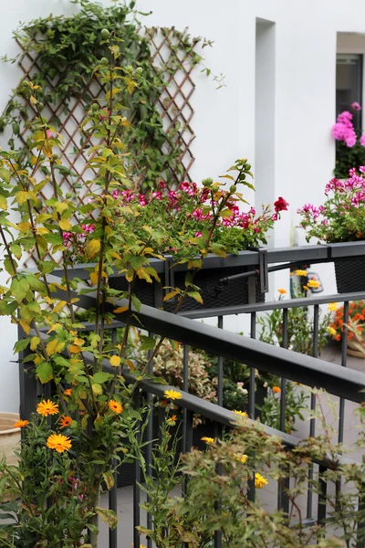 Moderne onroerend goed met een heleboel bloemen — Stockfoto