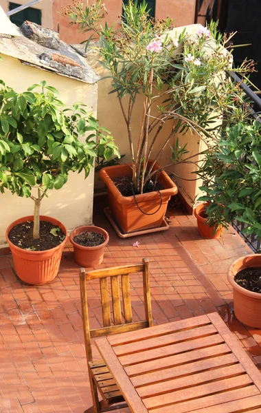 Tencere terasta otlar ile karışımı