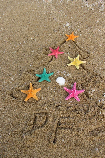 Christmas and New Year on the beach — Stock Photo, Image