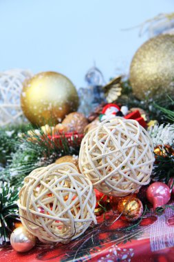 schattig Bordercollie pups spelen