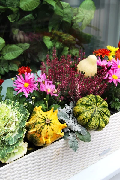 Spadek taras dekoracje z większą ilością kwiatów i inne warzywa wystrój — Zdjęcie stockowe