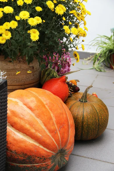 Decoraciones de Halloween con calabaza y muchas flores — Foto de Stock