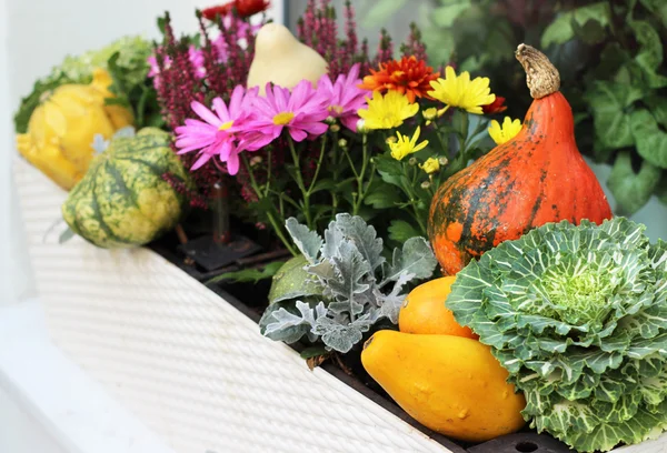 Decoraciones de otoño terraza con calabaza —  Fotos de Stock