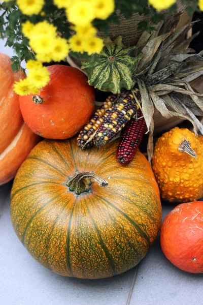 Decoraciones de Halloween con calabaza y muchas flores — Foto de Stock