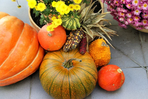 Dekorace Halloween dýně a spousta květin — Stock fotografie