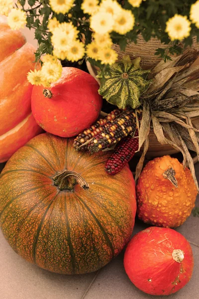 Halloween decorations with pumpkin and lot of flowers — Stock Photo, Image